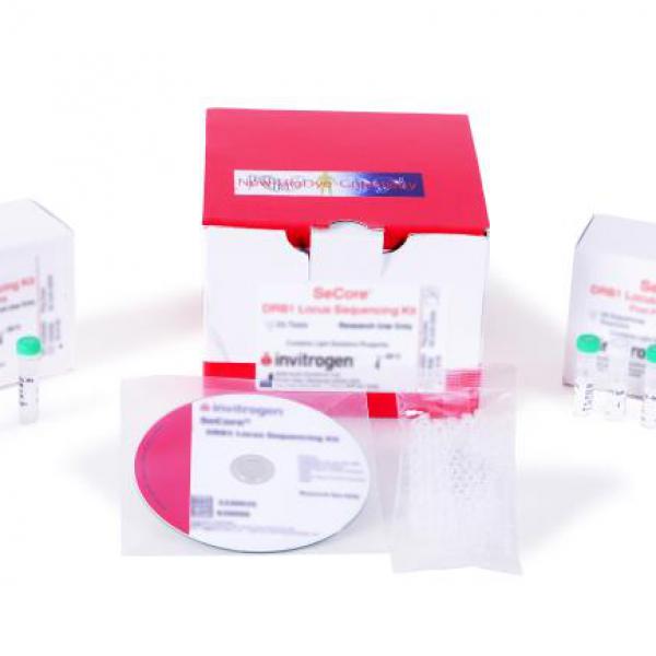SBT- SeCore Kits